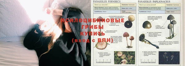 наркотики Богородицк