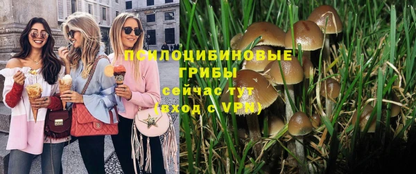 гидропоника Белокуриха