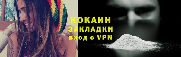 spice Богданович