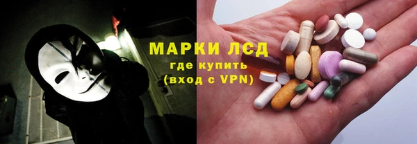 spice Богданович