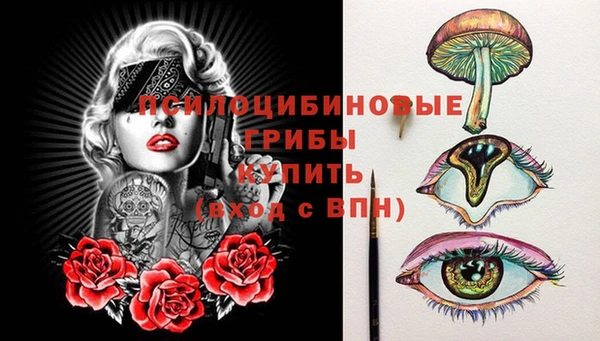 spice Богданович