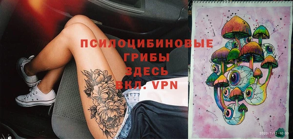 мдпв Бугульма