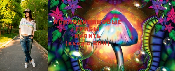 мдпв Бугульма
