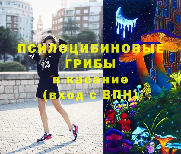 Альфа ПВП Бородино