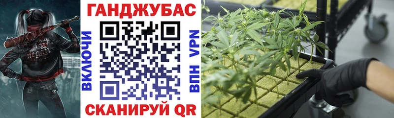 Конопля семена  Гусев 